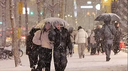 Đài PTTH Hà Nội